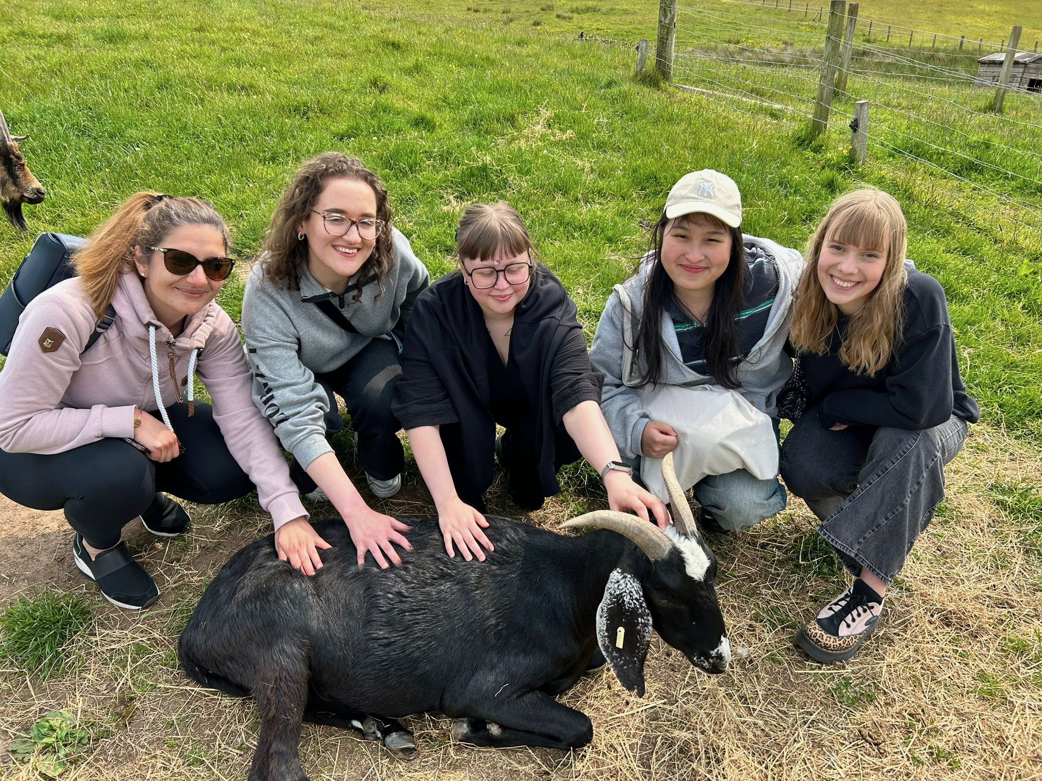 The Team with our goat mascot Oreo!